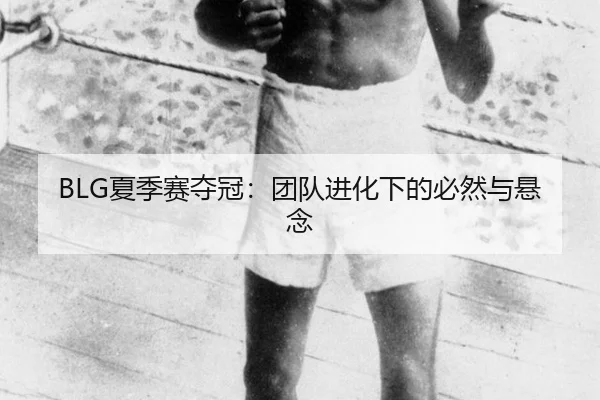 BLG夏季赛夺冠：团队进化下的必然与悬念（leyu）